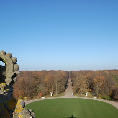 Bild vergrößern: Schlosspark